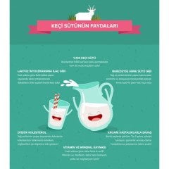 KEÇİ SÜTÜ 3 Litre  (Yağı Alınmamış, İşlem Görmemiş)