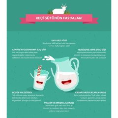 Keçi Sütü 3 Litre (Yağı Alınmamış, İşlem Görmemiş)