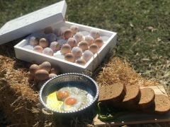 Gezen Tavuk Yumurtası (TAZE, DOĞAL) 30 ADET