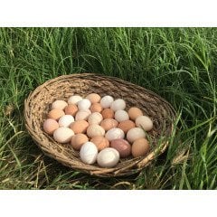 Gezen Tavuk Yumurtası (TAZE, DOĞAL)