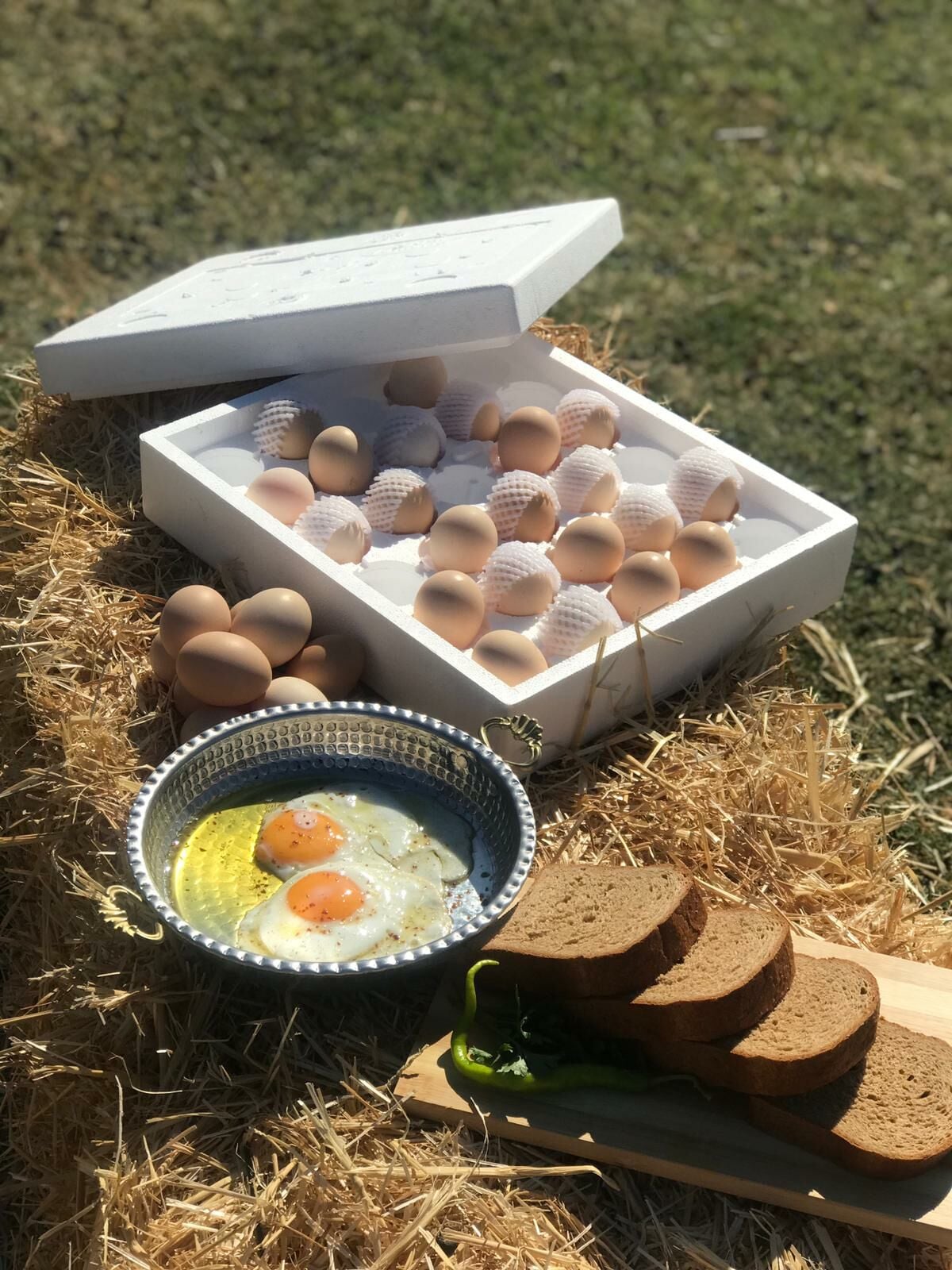 Gezen Tavuk Yumurtası (TAZE, DOĞAL) 30 ADET