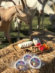 Top KEÇİ Peyniri (ŞİRDEN MAYALI)