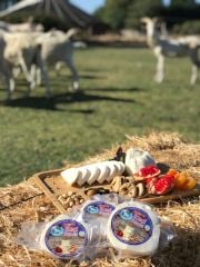 Top KEÇİ Peyniri (ŞİRDEN MAYALI)