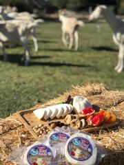 Top KEÇİ Peyniri (ŞİRDEN MAYALI)