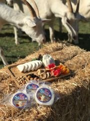 Top KEÇİ Peyniri (ŞİRDEN MAYALI)