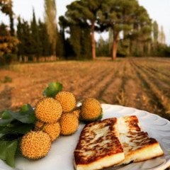 Taze ve Kızartmalık KEÇİ Peyniri (ŞİRDEN MAYALI)