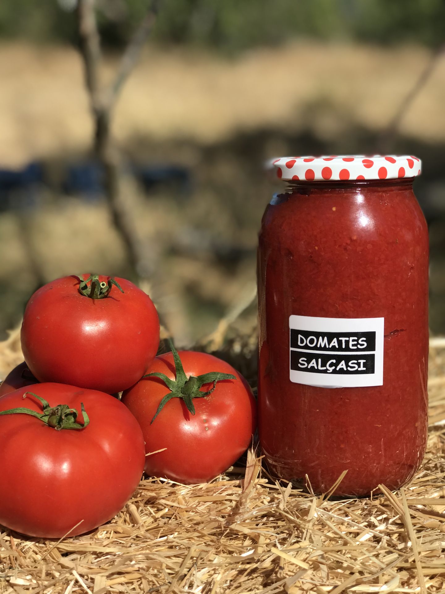DOMATES Salçası 1 Kg.