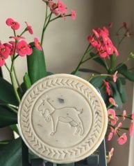 Keçi Sütlü DEFNE Sabunu (100 Gr.)