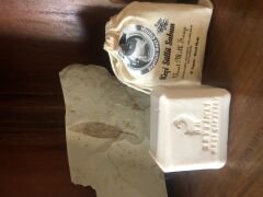 El Yapımı TAŞ DÖVME Sabun (120 Gr.)