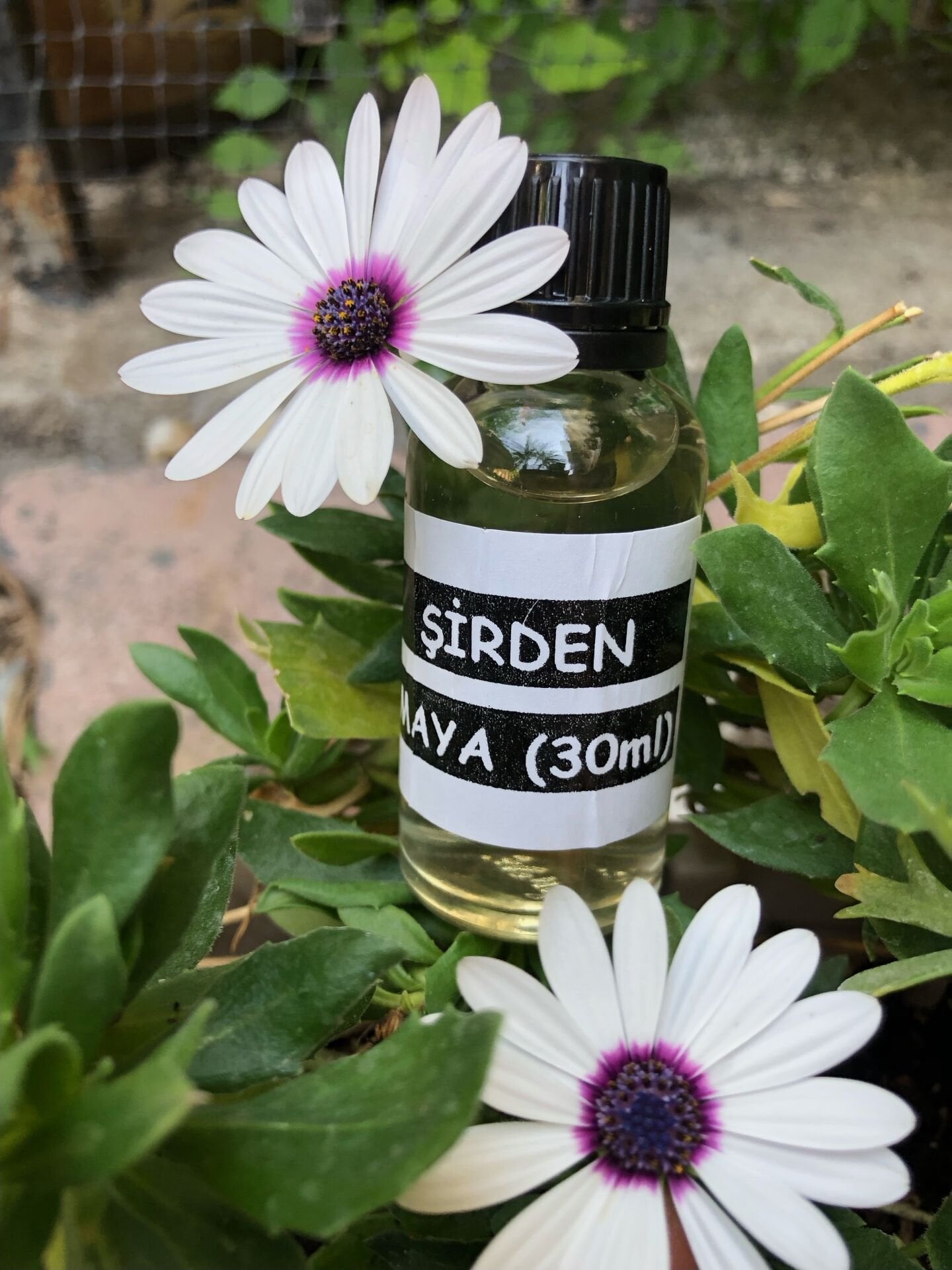 ŞİRDEN Maya 30 ml. (Oğlak&Kuzu)