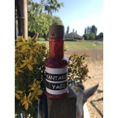 KANTARON Yağı 40 ml.