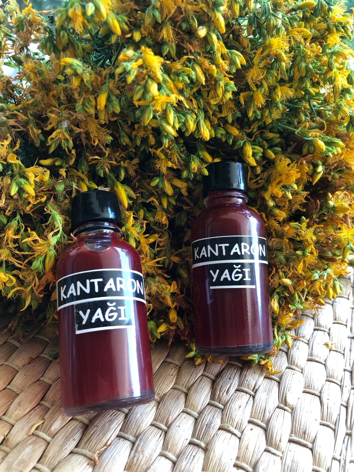 Sarı KANTARON Yağı 30 ml.