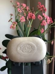 Keçi Sütlü BEBEK Sabunu (100 Gr.)