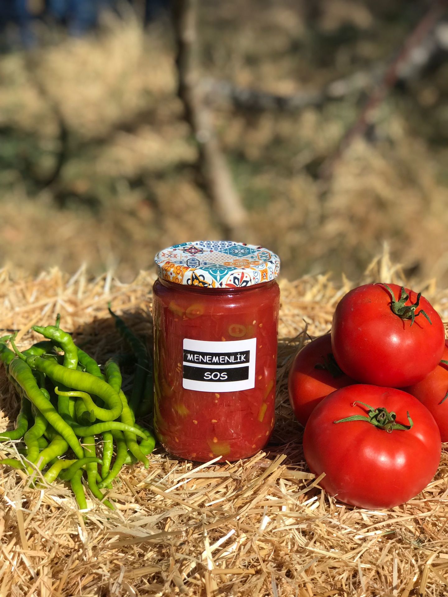 MENEMENLİK Sos 660 cc