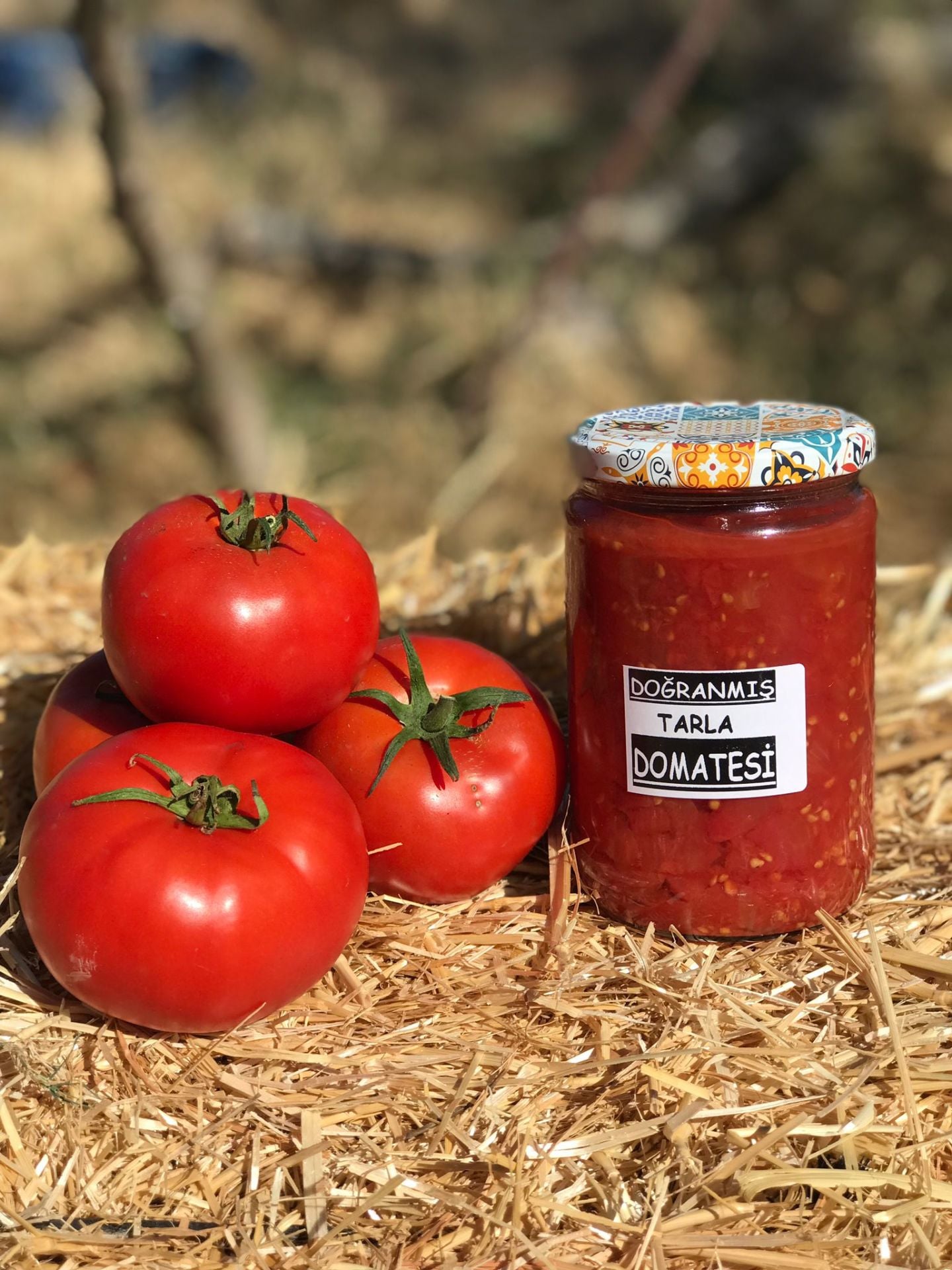 Doğranmış TARLA DOMATESİ 660 cc
