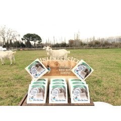 Saf Zeytinyağlı Keçi Sütü Sabunu (12 ADET)