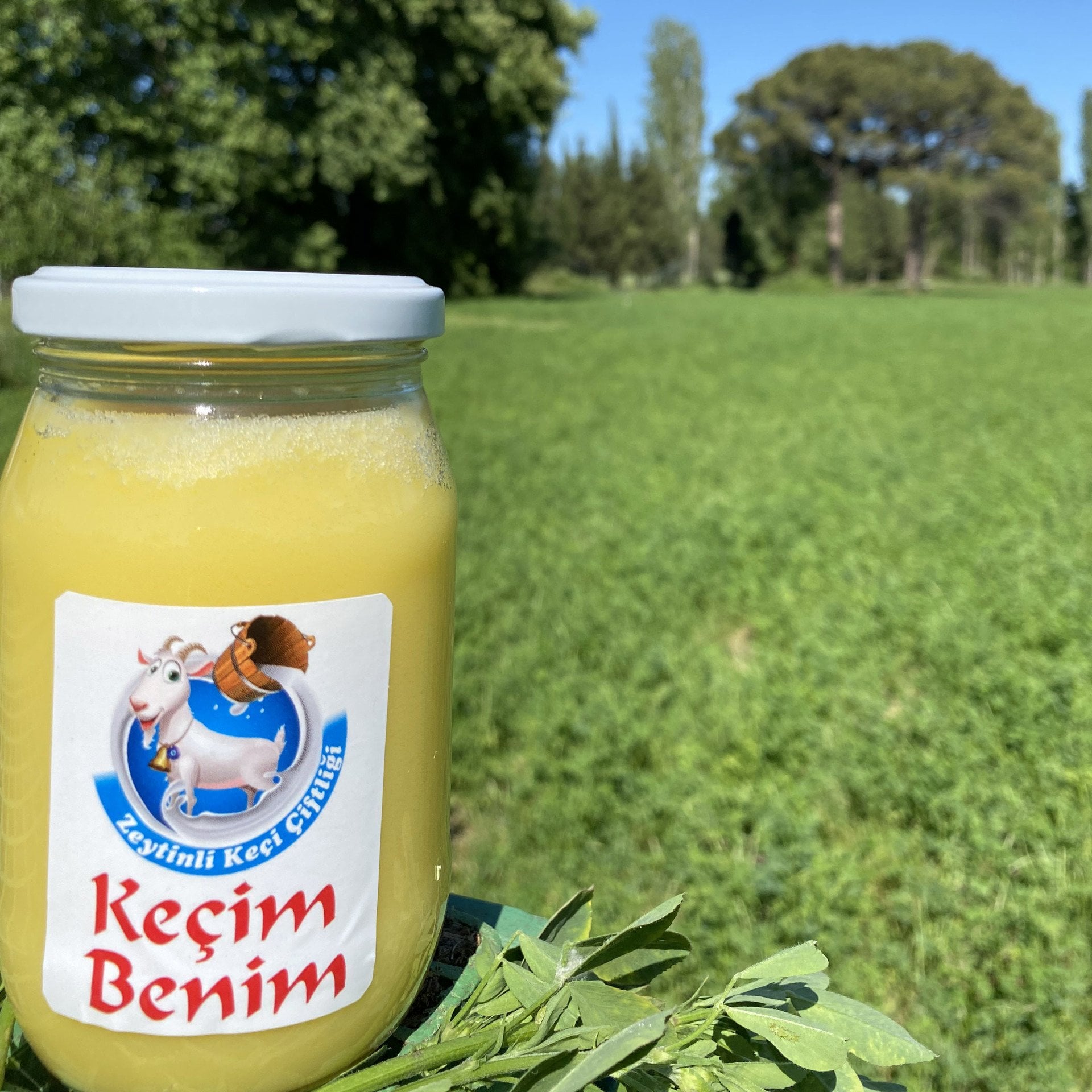 Sade Yağ (Ghee Yağı) 280 Gr.