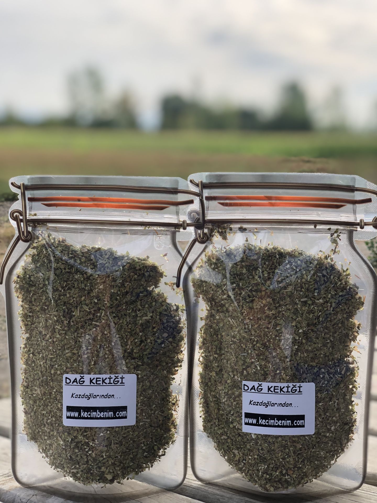 DAĞ Kekiği 50 Gr. (KAZDAĞLARINDAN)