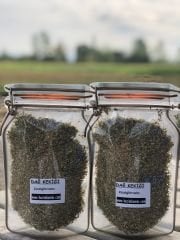 DAĞ Kekiği 50 Gr. (KAZDAĞLARINDAN)