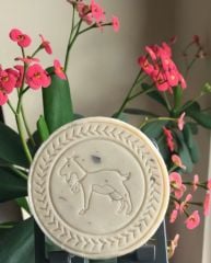 Keçi Sütlü DEFNE Sabunu (10 AL 8 ÖDE)