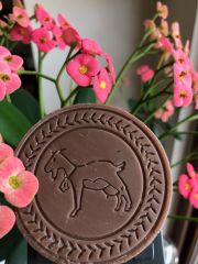 Keçi Sütlü VANİLYA Sabunu (10 AL 8 ÖDE)