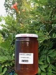 HAYIT Balı 850 Gr. (KAZDAĞLARINDAN)