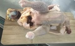 KÖY TAVUĞU (Temizlenmiş)