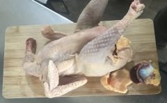 KÖY TAVUĞU (Temizlenmiş)