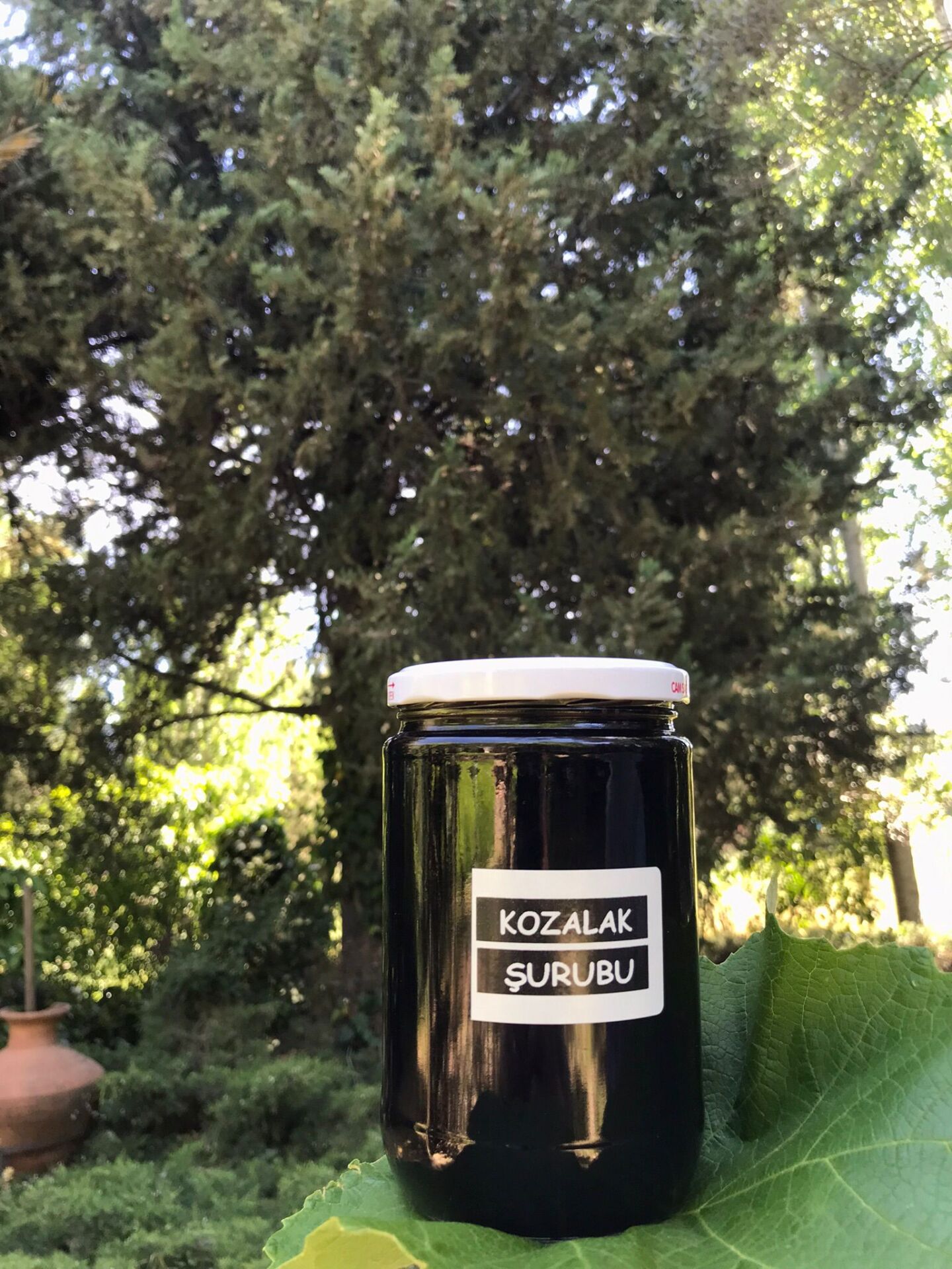 KOZALAK Şurubu 850 Gr. (KAZDAĞLARINDAN)