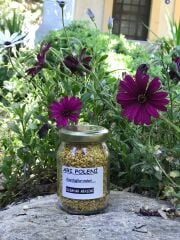 Arı POLENİ 100 Gr. (KAZDAĞLARINDAN)