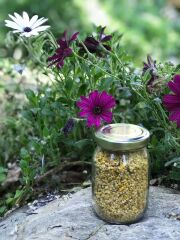 Arı POLENİ 100 Gr. (KAZDAĞLARINDAN)