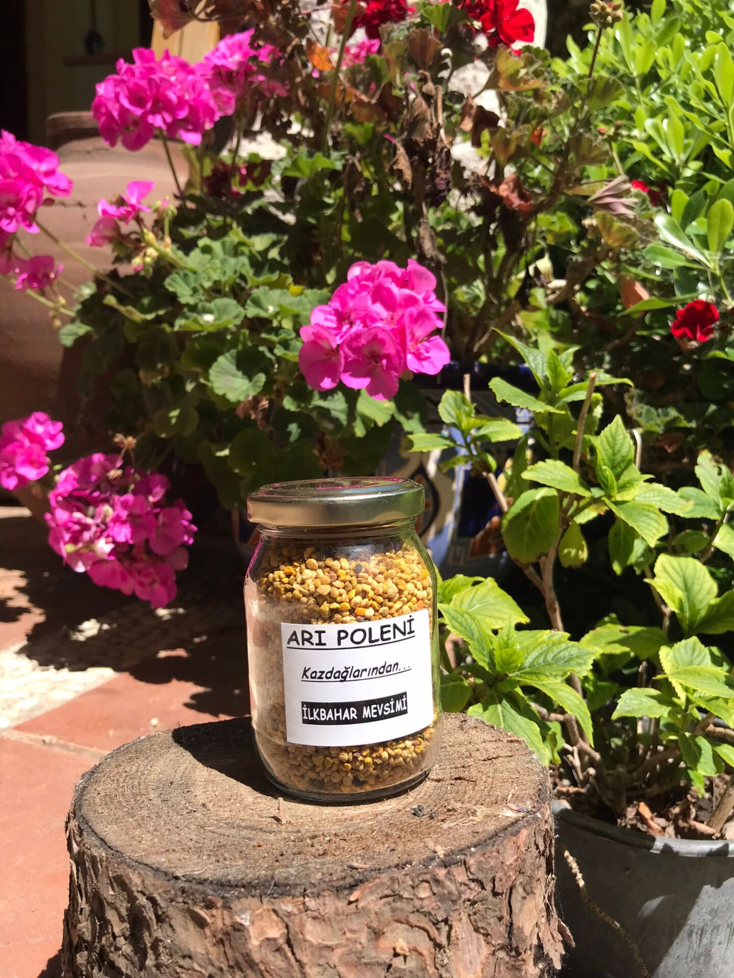 Arı POLENİ 100 Gr. (KAZDAĞLARINDAN)