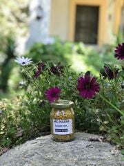 Arı POLENİ 100 Gr. (KAZDAĞLARINDAN)