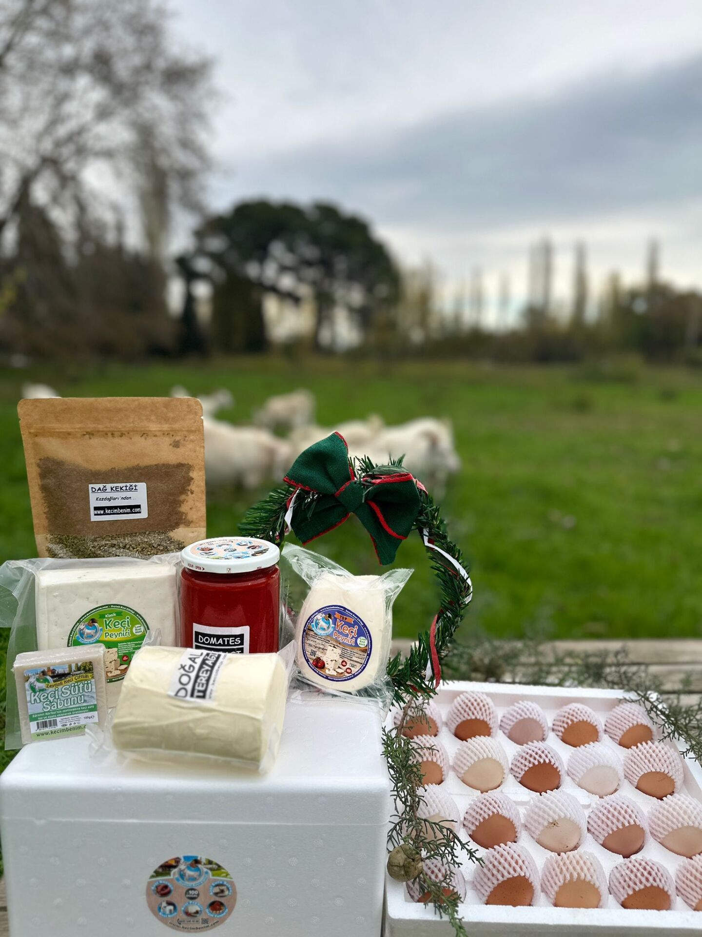 Yılbaşı Sağlık Sepeti (El Yapımı Yılbaşı Süsü ve Keçi Sütlü Sabun Hediyeli)