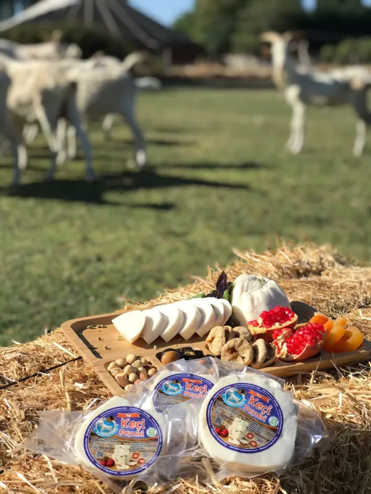 Saman balyası üzerinde dilimlenmiş bembeyaz keçi peyniri, arkada otlayan keçiler